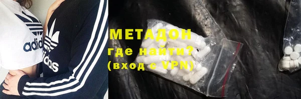 шишки Арсеньев
