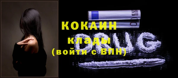 шишки Арсеньев