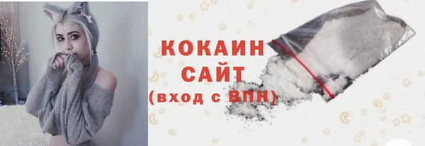 гидра Аркадак