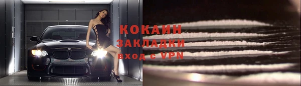 шишки Арсеньев