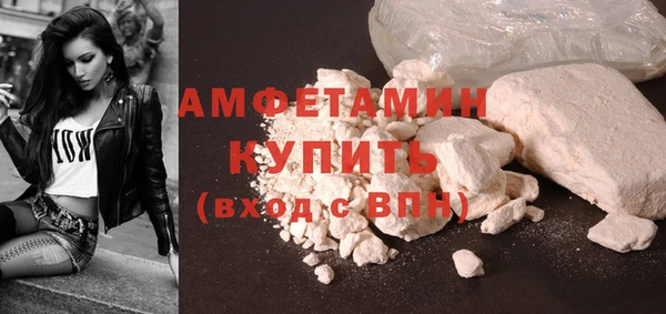 шишки Арсеньев