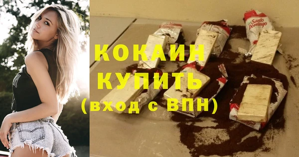 шишки Арсеньев