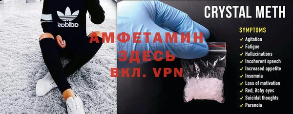 шишки Арсеньев