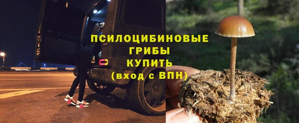 гидра Аркадак