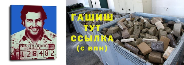 шишки Арсеньев