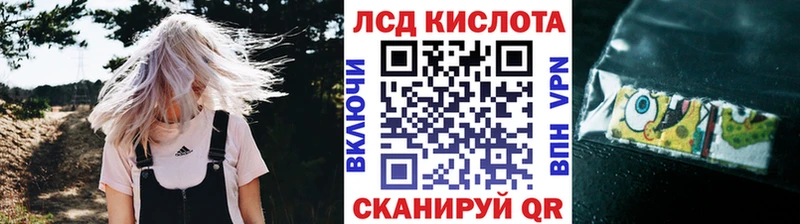 купить   MEGA tor  Наркотические марки 1,8мг  Избербаш 